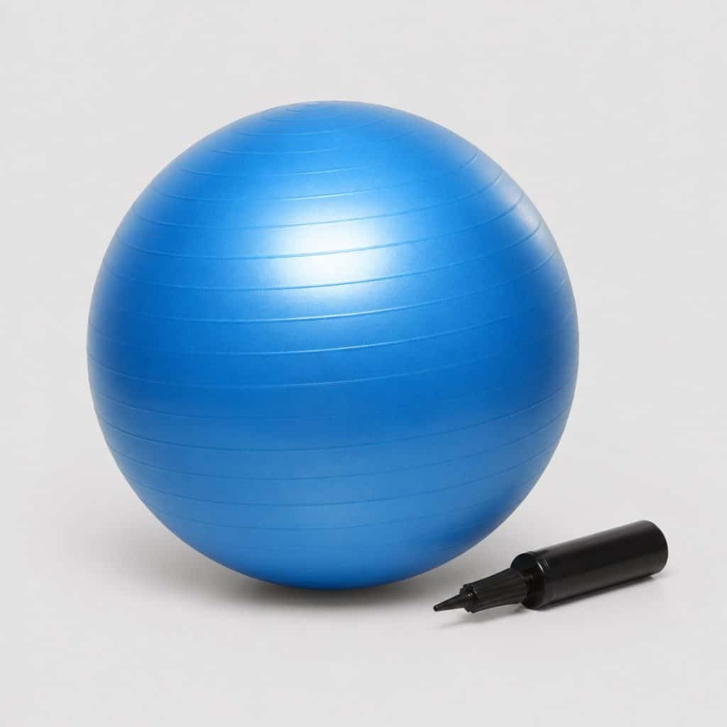 Swiss ball 65 cm avec pompe présenté sur fond clair